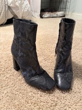 Sam Edelman Black Snake-Print Block Heel Ankle Boots